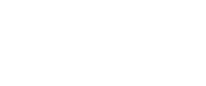 Sea Breeze Website Solutions logo